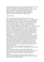 Mažasis princas - išsami analizė 7 puslapis