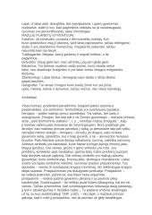 Mažasis princas - išsami analizė 8 puslapis