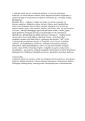 Mažasis princas - išsami analizė 9 puslapis