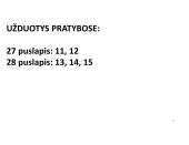 Šviesos atspindėjimas ir veidrodis 13 puslapis