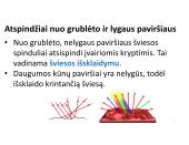 Šviesos atspindėjimas ir veidrodis 7 puslapis