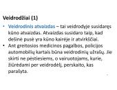 Šviesos atspindėjimas ir veidrodis 10 puslapis