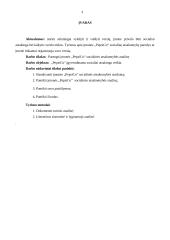 Įmonės „Pepsico“ socialinės atsakomybės analizavimas 2 puslapis