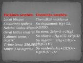 Gyvsidabris: skaidrės 2 puslapis