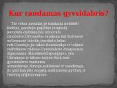 Gyvsidabris: skaidrės 3 puslapis
