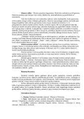 Antikos literatūra 2 puslapis