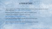 Ajurvedos pagrindinių principų taikymas slaugoje  11 puslapis