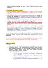 Servitutai. Konspektas 3 puslapis