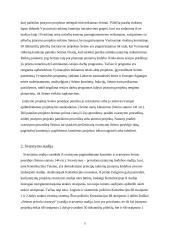 Įstatymų leidybos procesas 4 puslapis