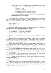 Asmeninio kompiuterio vaizdo sistema 2 puslapis