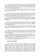 Asmeninio kompiuterio vaizdo sistema 3 puslapis