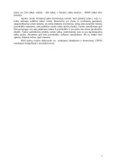 Asmeninio kompiuterio vaizdo sistema 4 puslapis