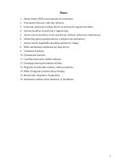 Asmens laisvės principų taikymo problemos 2 puslapis