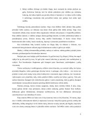 Asmens laisvės principų taikymo problemos 6 puslapis