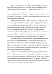 Asmuo ir jo vertybės Renesanso epochoje 3 puslapis