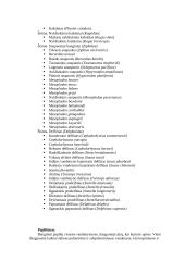 Banginiai. Jų paplitimas ir naudojimas 2 puslapis