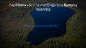 Kamanų rezervatas (skaidrės) 13 puslapis