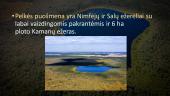 Kamanų rezervatas (skaidrės) 7 puslapis
