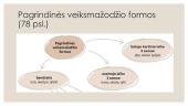 Veiksmažodžio reikšmė, laikai ir nuosakos 8 puslapis