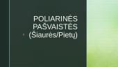 Poliarinės pašvaistės (šiaurės/pietų)