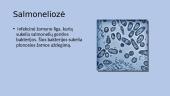 Salmoneliozė (skaidrės) 2 puslapis