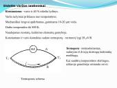 Laidininkių savybės  11 puslapis