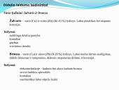 Laidininkių savybės  7 puslapis