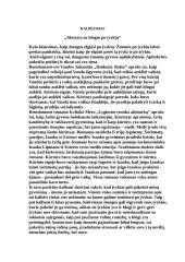 Akistata su blogiu po įvykių