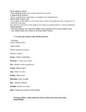 Mamos ir tėčio dienos scenarijus. “Boružėlės” 2 puslapis