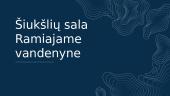 Šiukšlių sala Ramiajame vandenyne