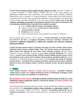 Bausmių sistema 2 puslapis