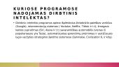 Dirbtinis intelektas - skaidrės 5 puslapis