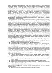 Europos Sąjungos (ES) asociacija 2 puslapis