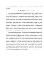 Profesinės ligos (rašto darbas) 13 puslapis