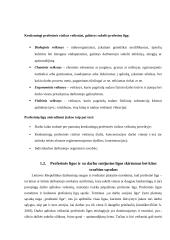 Profesinės ligos (rašto darbas) 4 puslapis