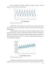 JAV eksporto apimčių ir jas lemiančių veiksnių tyrimas 18 puslapis