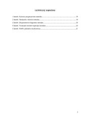 JAV eksporto apimčių ir jas lemiančių veiksnių tyrimas 2 puslapis