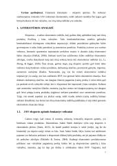 JAV eksporto apimčių ir jas lemiančių veiksnių tyrimas 6 puslapis