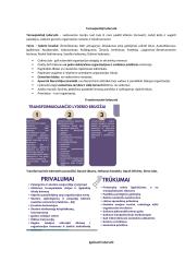 Lyderysčių konspektas