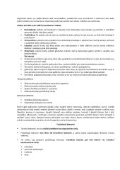 Lyderysčių konspektas 2 puslapis