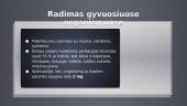 Švinas (Pb) pristatymas 4 puslapis