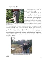 Gražutės regioninis parkas 5 puslapis