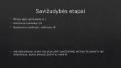 Savižudybė (skaidrės) 5 puslapis