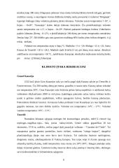 Ispanijos klimato įtaka rekreacijai 5 puslapis