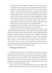 ES finansų rinkų priežiūros institucijos 10 puslapis