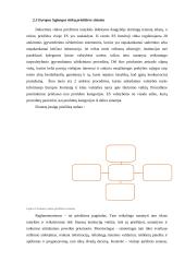 ES finansų rinkų priežiūros institucijos 12 puslapis