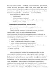 ES finansų rinkų priežiūros institucijos 13 puslapis