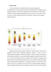 ES finansų rinkų priežiūros institucijos 20 puslapis