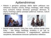 Kietieji kūnai (skaidrės) 16 puslapis