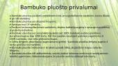 Bambukinis pluoštas 2 puslapis